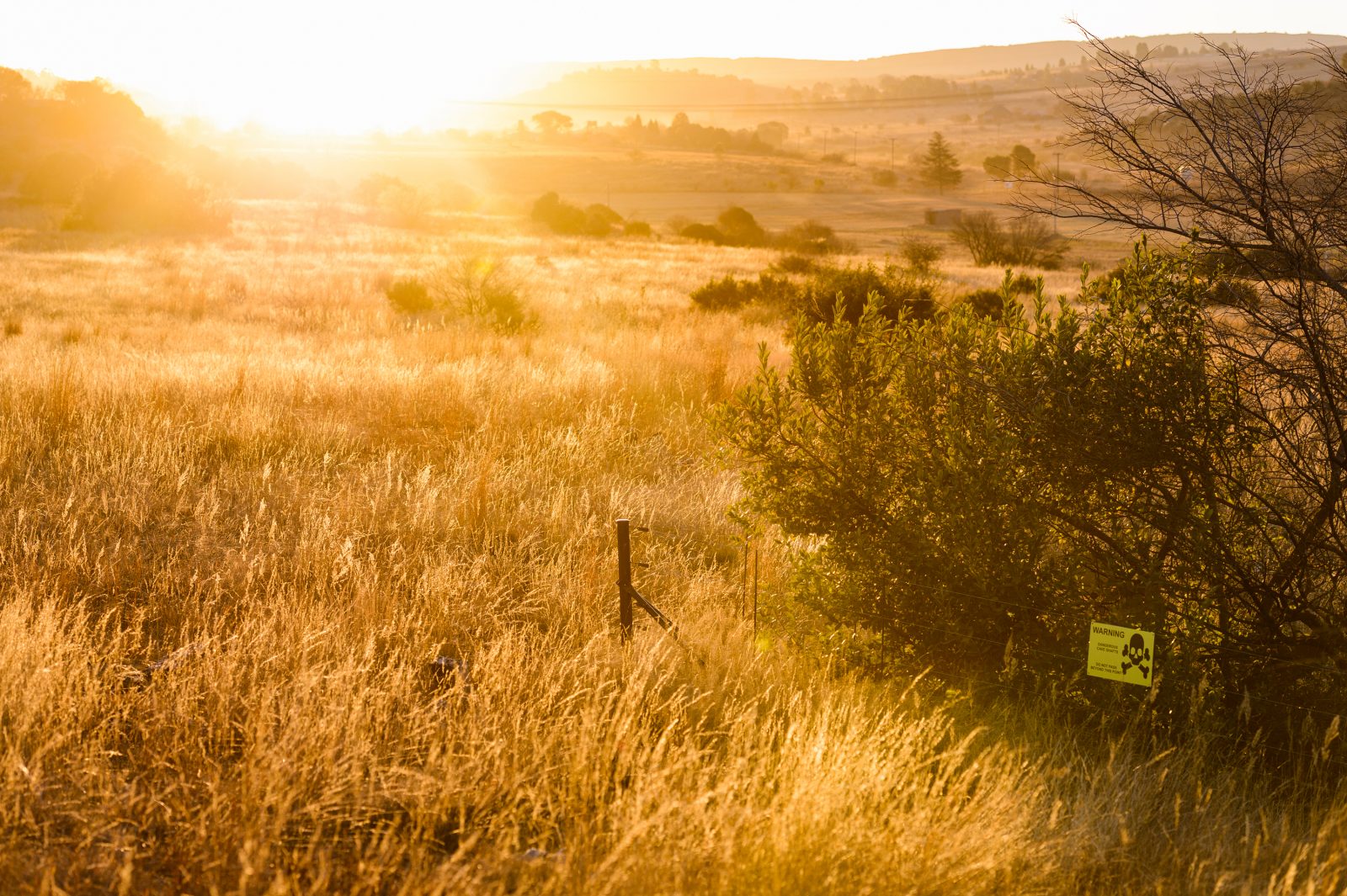 Landscape view above the Rising Star Cave at sunrise, golden wheeat colors, gentle slopes in background, a small danger sign in the foreground.