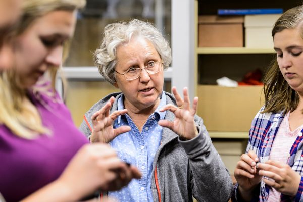 University of the Witwatersrand archeologist Kathleen Kuman introduces students from a visiting UW–Madison-led archaeological field school to stone-tool artifacts